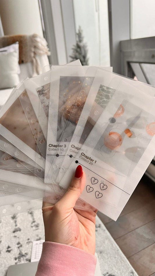 Save 500 Dollars/10 Savings Challenges Envelope Bundle- Cash Stuffing Envelopes