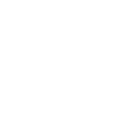 Flaner Budgets